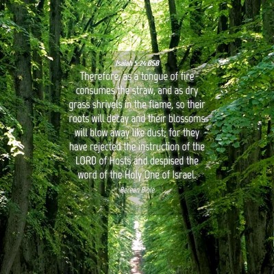 Picture 04 - Isaiah 5:24 BSB - Therefore, as a tongue of fire consumes the - Bible Verse Picture
