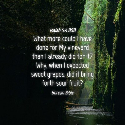 Picture 04 - Isaiah 5:4 BSB - What more could I have done for My vineyard than - Bible Verse Picture