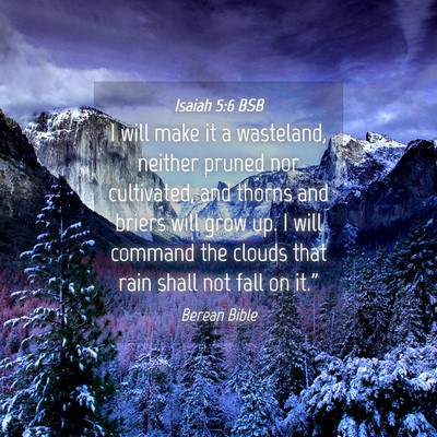 Picture 04 - Isaiah 5:6 BSB - I will make it a wasteland, neither pruned nor - Bible Verse Picture
