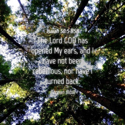 Picture 04 - Isaiah 50:5 BSB - The Lord GOD has opened My ears, and I have not - Bible Verse Picture