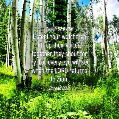 Picture 04 - Isaiah 52:8 BSB - Listen! Your watchmen lift up their voices, - Bible Verse Picture