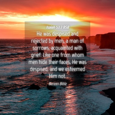 Picture 04 - Isaiah 53:3 BSB - He was despised and rejected by men, a man of - Bible Verse Picture