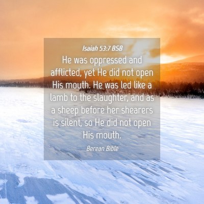 Picture 04 - Isaiah 53:7 BSB - He was oppressed and afflicted, yet He did not - Bible Verse Picture