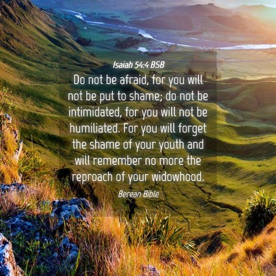 Picture 04 - Isaiah 54:4 BSB - Do not be afraid, for you will not be put to - Bible Verse Picture