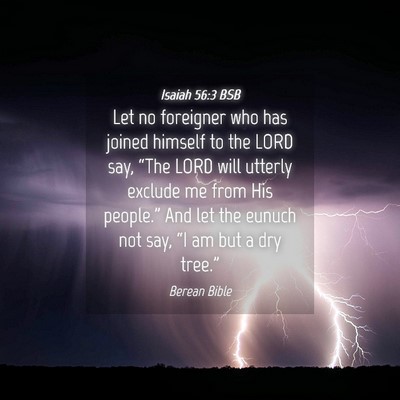 Picture 04 - Isaiah 56:3 BSB - Let no foreigner who has joined himself to the - Bible Verse Picture