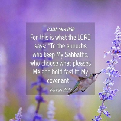 Picture 04 - Isaiah 56:4 BSB - For this is what the LORD says: “To the eunuchs - Bible Verse Picture