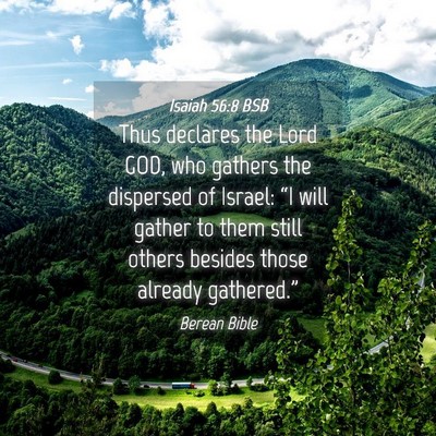 Picture 04 - Isaiah 56:8 BSB - Thus declares the Lord GOD, who gathers the - Bible Verse Picture