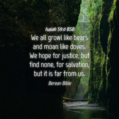 Picture 04 - Isaiah 59:11 BSB - We all growl like bears and moan like doves. We - Bible Verse Picture