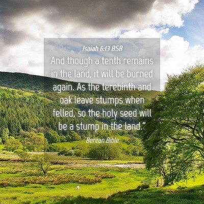 Picture 04 - Isaiah 6:13 BSB - And though a tenth remains in the land, it will - Bible Verse Picture