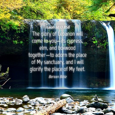 Picture 04 - Isaiah 60:13 BSB - The glory of Lebanon will come to you—its - Bible Verse Picture