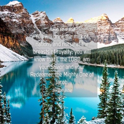 Picture 04 - Isaiah 60:16 BSB - You will drink the milk of nations and nurse at - Bible Verse Picture
