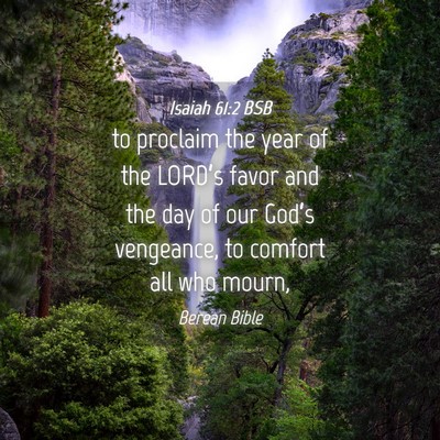 Picture 04 - Isaiah 61:2 BSB - to proclaim the year of the LORD’s favor and - Bible Verse Picture