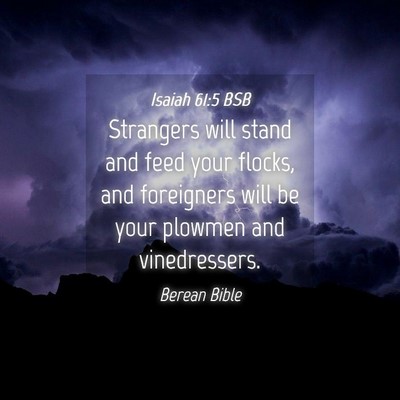 Picture 04 - Isaiah 61:5 BSB - Strangers will stand and feed your flocks, and - Bible Verse Picture