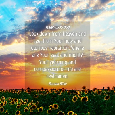 Picture 04 - Isaiah 63:15 BSB - Look down from heaven and see, from Your holy and - Bible Verse Picture