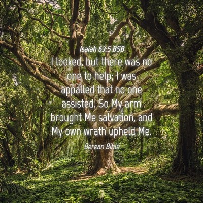 Picture 04 - Isaiah 63:5 BSB - I looked, but there was no one to help; I was - Bible Verse Picture