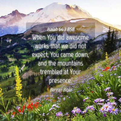Picture 04 - Isaiah 64:3 BSB - When You did awesome works that we did not - Bible Verse Picture