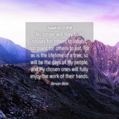 Picture 04 - Isaiah 65:22 BSB - No longer will they build houses for others to - Bible Verse Picture