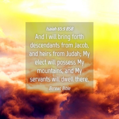 Picture 04 - Isaiah 65:9 BSB - And I will bring forth descendants from Jacob, - Bible Verse Picture