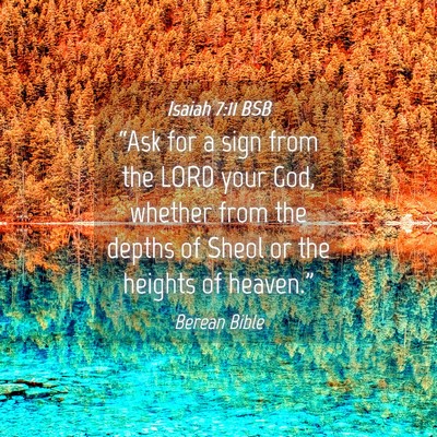 Picture 04 - Isaiah 7:11 BSB - “Ask for a sign from the LORD your God, whether - Bible Verse Picture