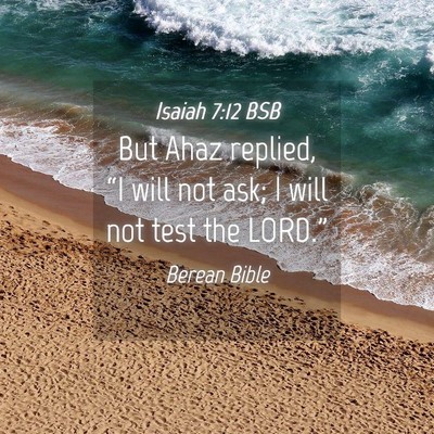 Picture 04 - Isaiah 7:12 BSB - But Ahaz replied, “I will not ask; I will not - Bible Verse Picture