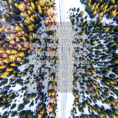 Picture 04 - Isaiah 7:13 BSB - Then Isaiah said, “Hear now, O house of David! - Bible Verse Picture