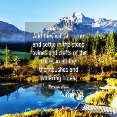 Picture 04 - Isaiah 7:19 BSB - And they will all come and settle in the steep - Bible Verse Picture