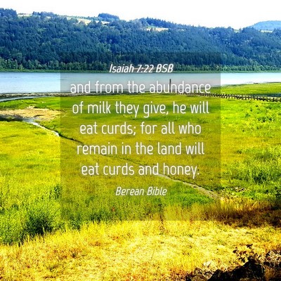 Picture 04 - Isaiah 7:22 BSB - and from the abundance of milk they give, he will - Bible Verse Picture