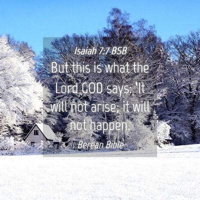 Picture 04 - Isaiah 7:7 BSB - But this is what the Lord GOD says: ‘It will - Bible Verse Picture