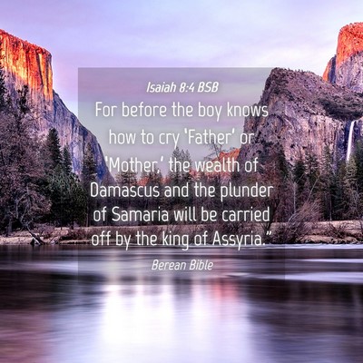 Picture 04 - Isaiah 8:4 BSB - For before the boy knows how to cry ‘Father’ - Bible Verse Picture