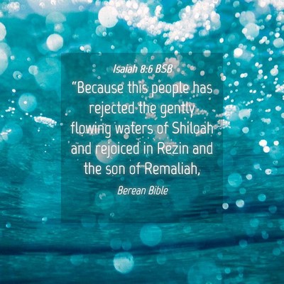 Picture 04 - Isaiah 8:6 BSB - “Because this people has rejected the gently - Bible Verse Picture