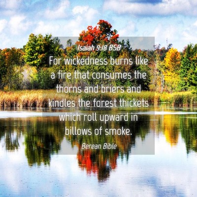Picture 04 - Isaiah 9:18 BSB - For wickedness burns like a fire that consumes - Bible Verse Picture