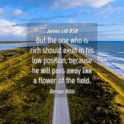 Picture 04 - James 1:10 BSB - But the one who is rich should exult in his low - Bible Verse Picture