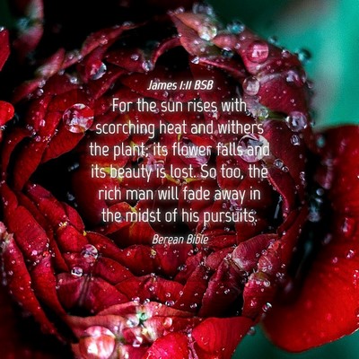 Picture 04 - James 1:11 BSB - For the sun rises with scorching heat and withers - Bible Verse Picture