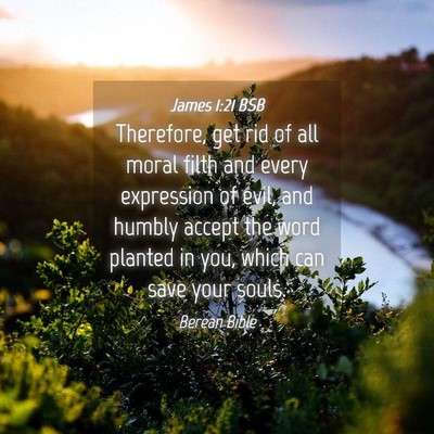 Picture 04 - James 1:21 BSB - Therefore, get rid of all moral filth and every - Bible Verse Picture