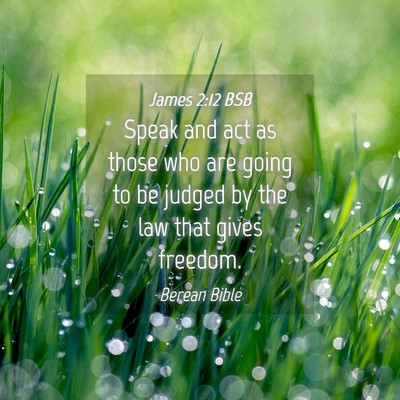 Picture 04 - James 2:12 BSB - Speak and act as those who are going to be judged - Bible Verse Picture