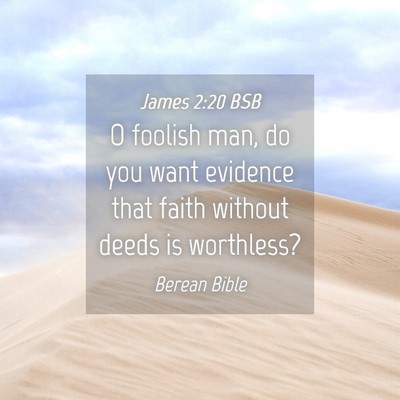 Picture 04 - James 2:20 BSB - O foolish man, do you want evidence that faith - Bible Verse Picture