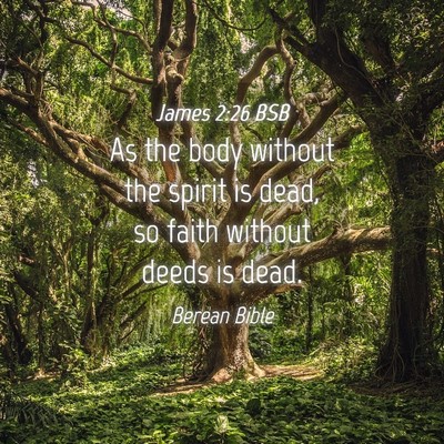 Picture 04 - James 2:26 BSB - As the body without the spirit is dead, so faith - Bible Verse Picture