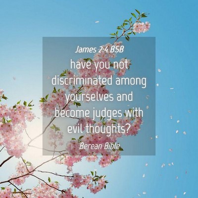 Picture 04 - James 2:4 BSB - have you not discriminated among yourselves and - Bible Verse Picture