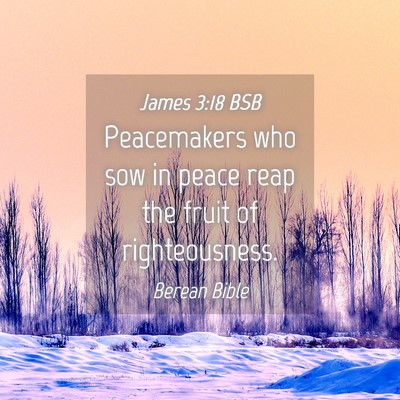 Picture 04 - James 3:18 BSB - Peacemakers who sow in peace reap the fruit of - Bible Verse Picture
