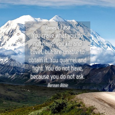 Picture 04 - James 4:2 BSB - You crave what you do not have; you kill and - Bible Verse Picture