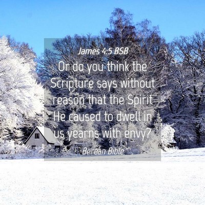 Picture 04 - James 4:5 BSB - Or do you think the Scripture says without reason - Bible Verse Picture