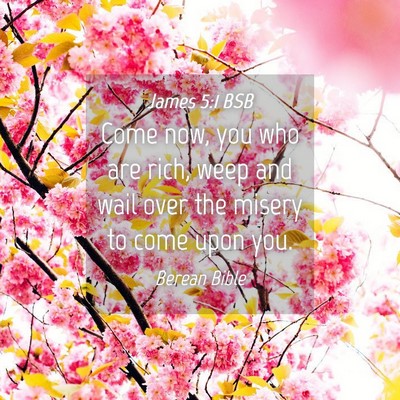 Picture 04 - James 5:1 BSB - Come now, you who are rich, weep and wail over - Bible Verse Picture