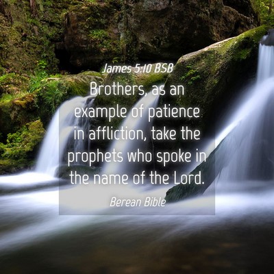Picture 04 - James 5:10 BSB - Brothers, as an example of patience in - Bible Verse Picture