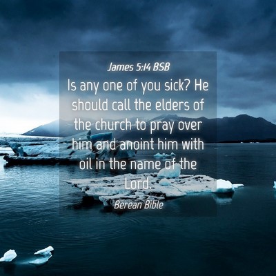 Picture 04 - James 5:14 BSB - Is any one of you sick? He should call the elders - Bible Verse Picture