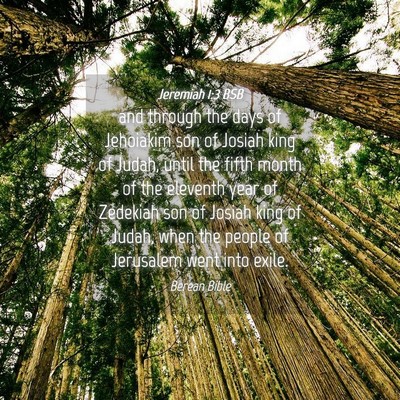 Picture 04 - Jeremiah 1:3 BSB - and through the days of Jehoiakim son of Josiah - Bible Verse Picture