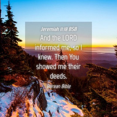 Picture 04 - Jeremiah 11:18 BSB - And the LORD informed me, so I knew. Then You - Bible Verse Picture