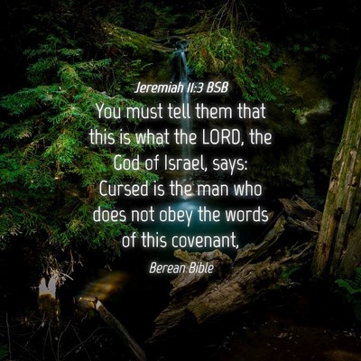 Picture 04 - Jeremiah 11:3 BSB - You must tell them that this is what the LORD, - Bible Verse Picture