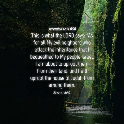 Picture 04 - Jeremiah 12:14 BSB - This is what the LORD says: “As for all My evil - Bible Verse Picture