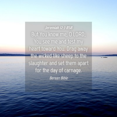 Picture 04 - Jeremiah 12:3 BSB - But You know me, O LORD; You see me and test my - Bible Verse Picture