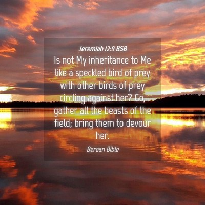 Picture 04 - Jeremiah 12:9 BSB - Is not My inheritance to Me like a speckled bird - Bible Verse Picture